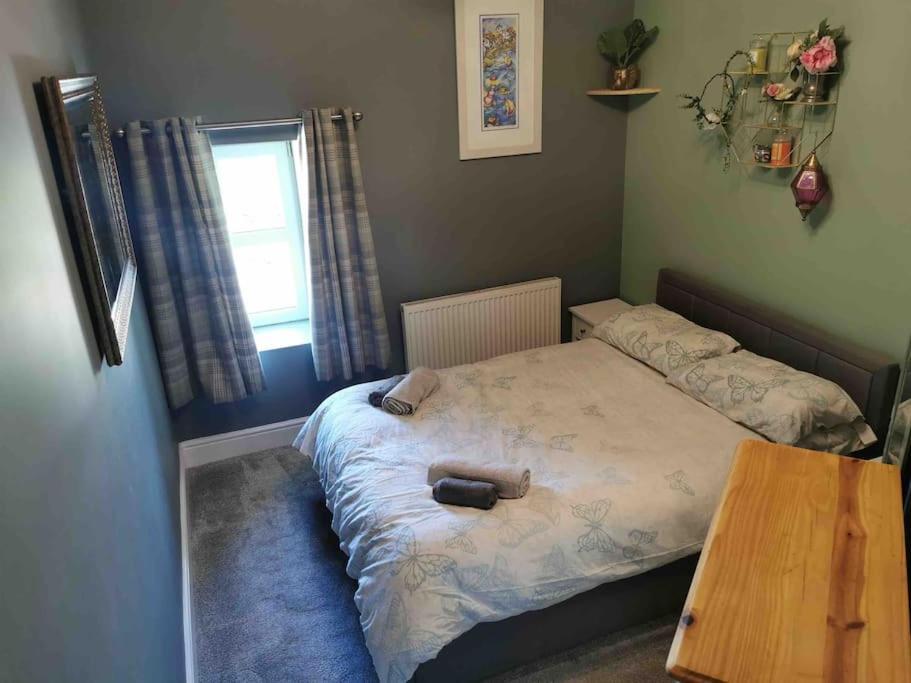 Ferienwohnung Number 7 Torquay Stunning Sea Views Exterior foto